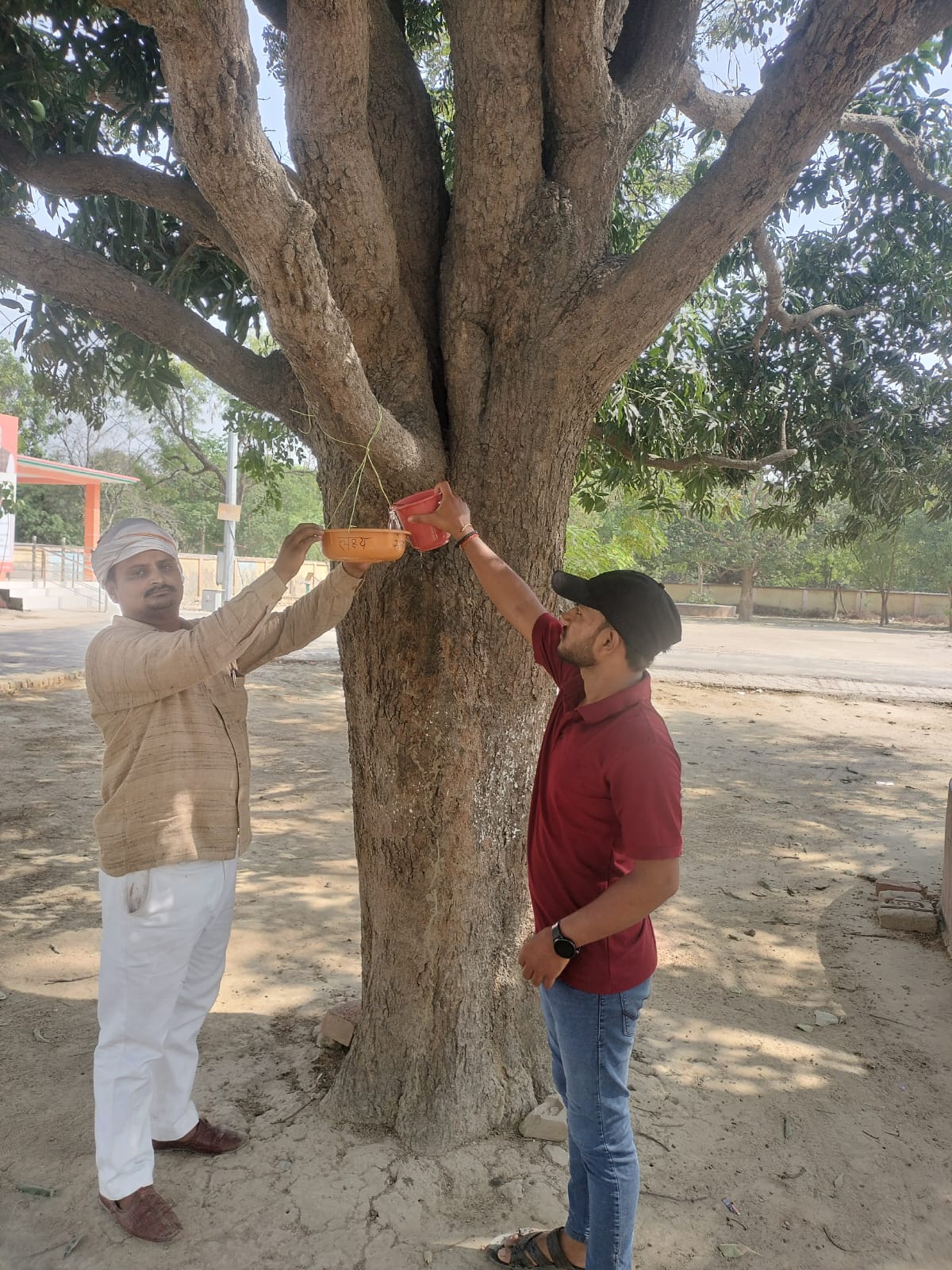 भीषण गर्मी को देखते हुए फाउंडेशन द्वारा गौरैया संरक्षण हेतु जल पात्र लगाया गया