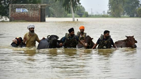 पंजाब में बाढ़ का कहर: राज्य के सभी 23 जिले बाढ़ग्रस्त, अब तक 30-37 मौतें दर्ज