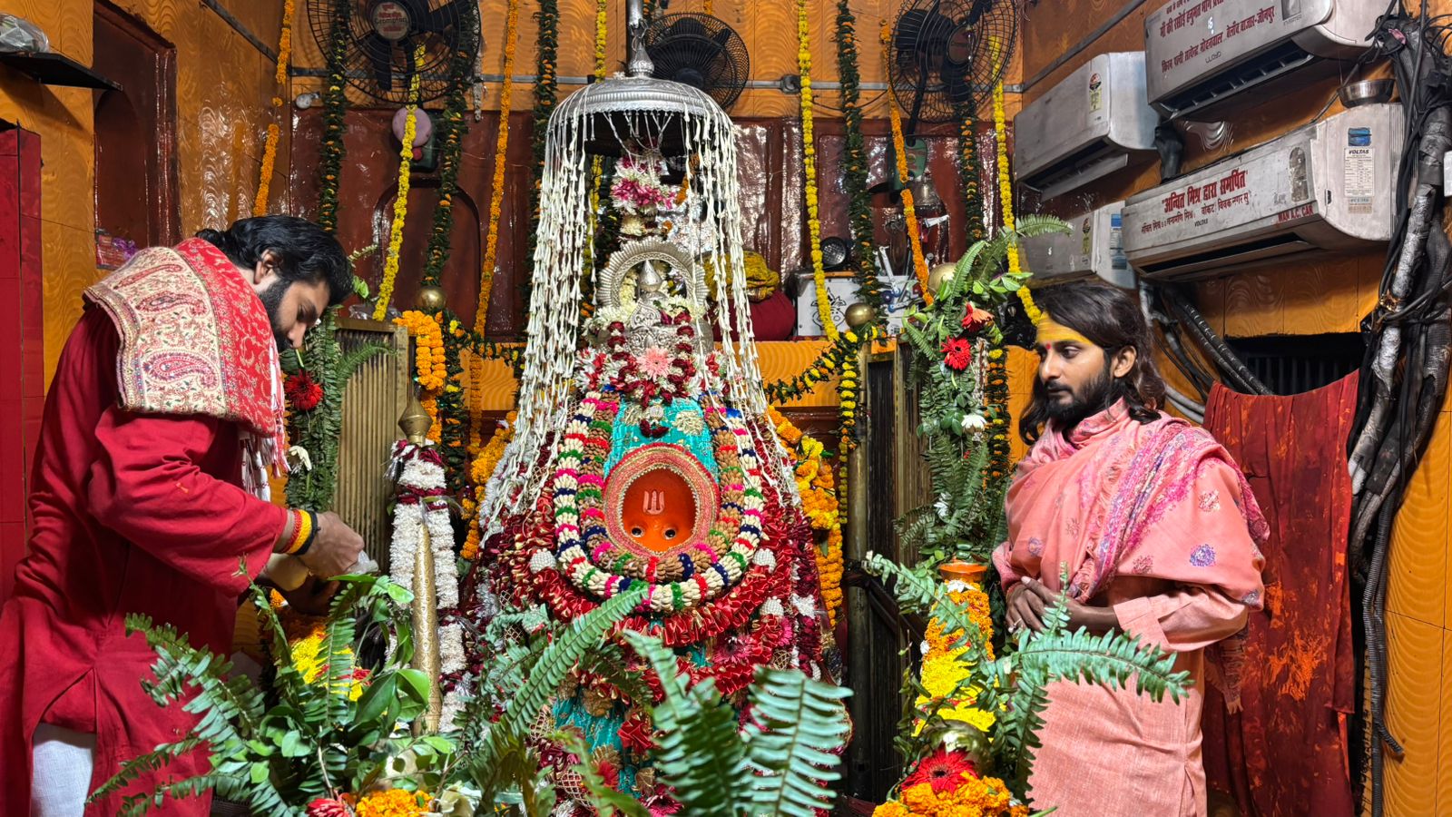 विजेथुआ धाम में पवनपुत्र का अलौकिक रूप देखने दूर-दूर से पहुंचे श्रद्धालु, सुरक्षा व्यवस्थाओं के बीच सुचारु रूप से चला दर्शन